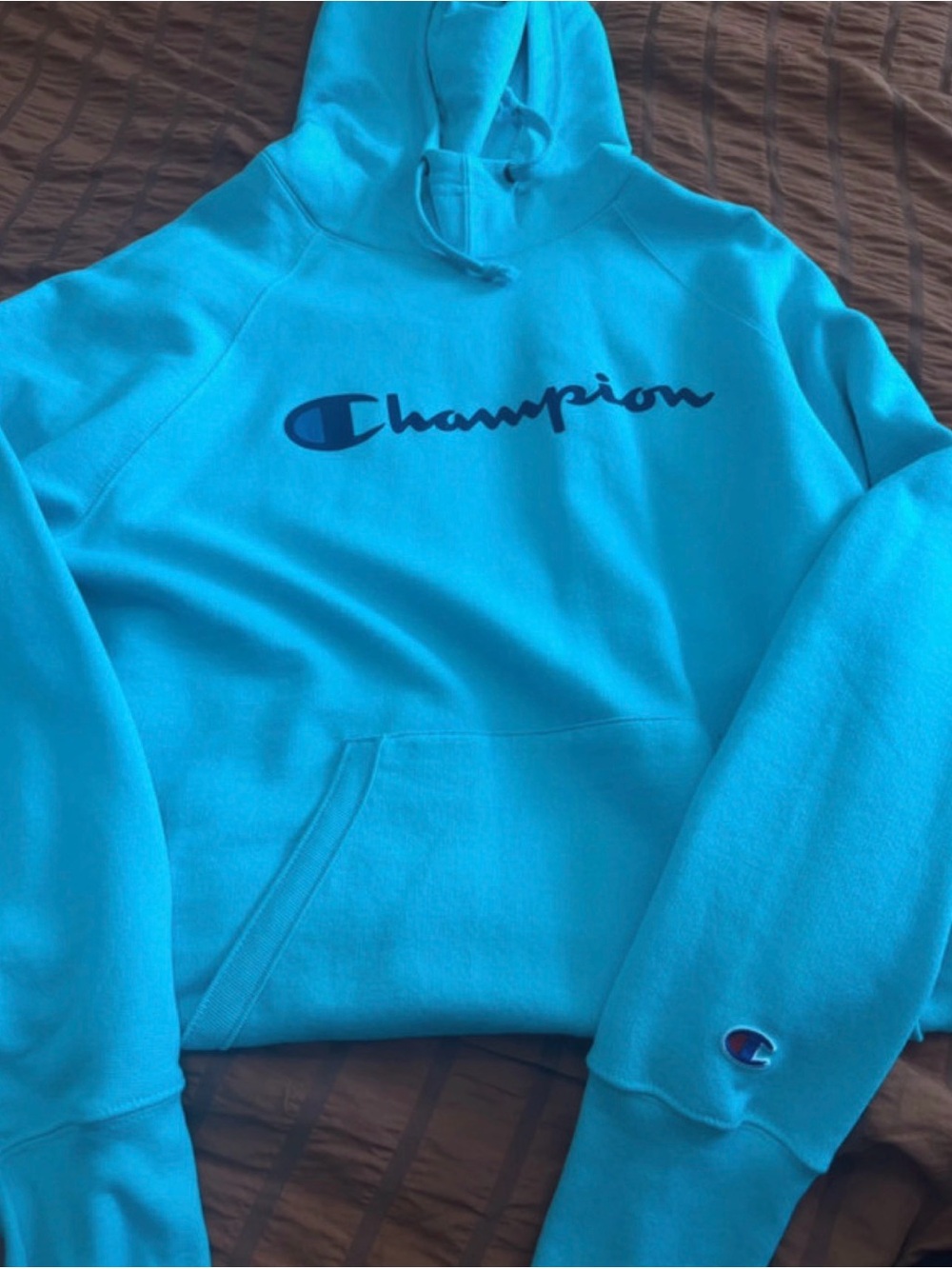 Champion Mint Green Hoodie with Embroidered Logo